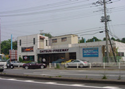 �t�F�A���f�B��