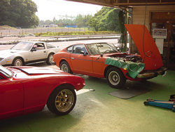 �t�F�A���f�B��