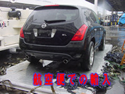 �_�b�g�T���E�t���[�E�F�C