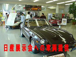 �t�F�A���f�B��